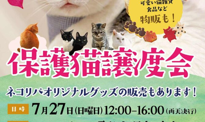 ☆ユアペティア雪谷大塚店にて第4回保護猫譲渡会開催☆