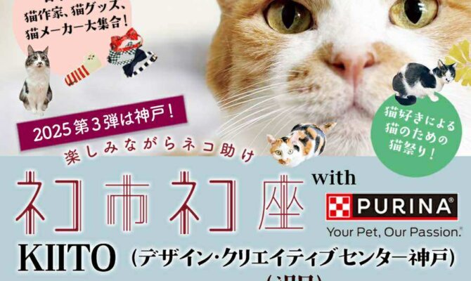 保護猫イベント「ネコ市ネコ座」神戸で開催！松島花さん・misonoさん・敦士さんなど豪華ゲストが“猫助け”に集結。9/14（日）・15（月祝）開催。