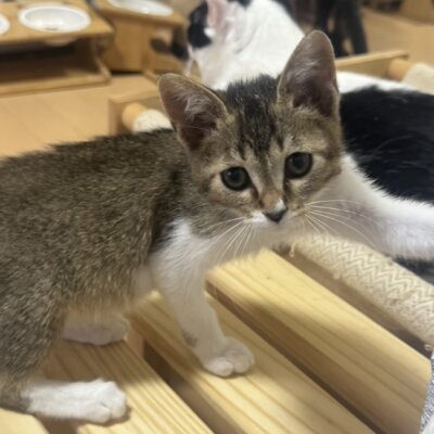 初【大阪熊取店】