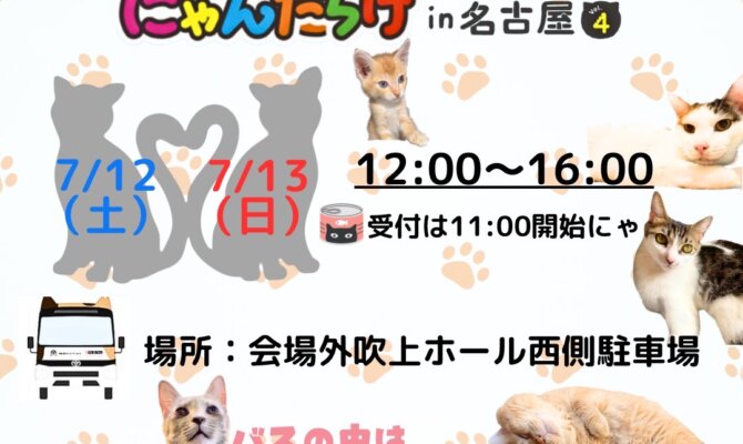 保護猫たちの晴れ舞台｜にゃんだらけin名古屋  譲渡会で家族との出会いを