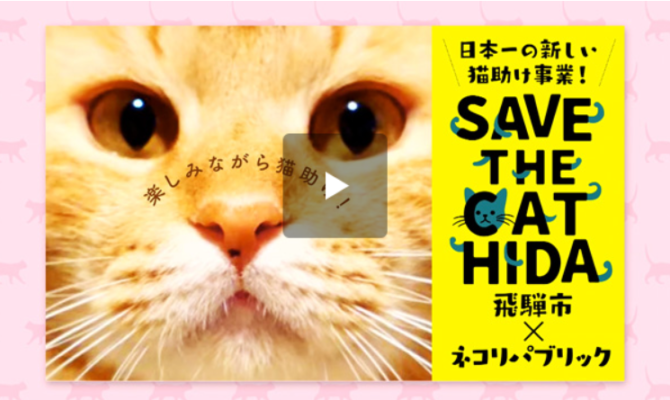 【NHK地域づくりアーカイブス】地域連携の“猫勢調査”で殺処分ゼロを目指す