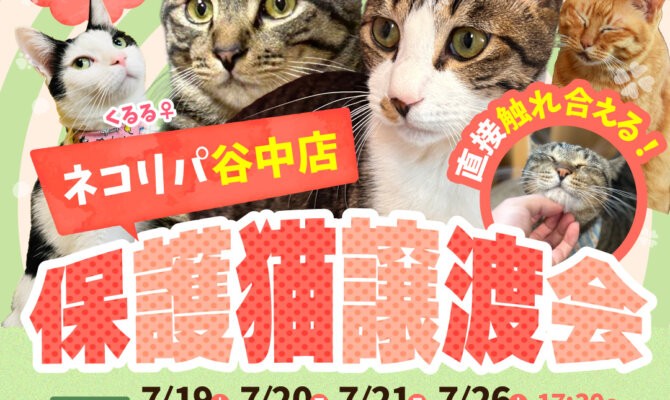 【東京谷中店で譲渡会開催】本気で家族を探してます！
