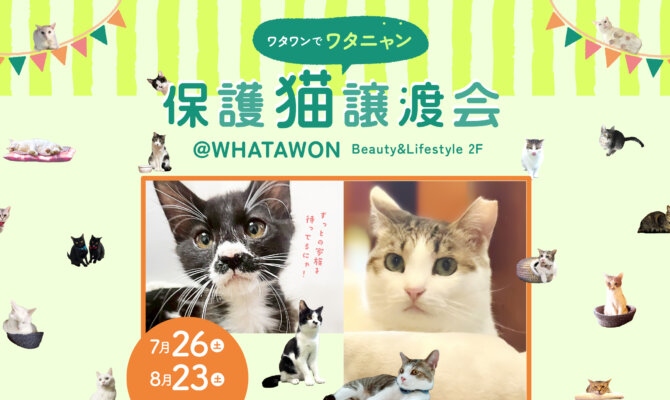 【大阪猫浴場＆熊取町合同開催】第6回ワタニャン保護猫譲渡会＠WHATAWON～運命の出会いはそこに～