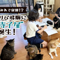 「猫まみれで宿題！？」ネコリパ飛騨に“猫寺子屋”誕生！放課後は猫と一緒に宿題＆お世話！保護猫活動が子どもたちの学び場に。