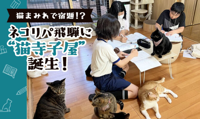 「猫まみれで宿題！？」ネコリパ飛騨に“猫寺子屋”誕生！放課後は猫と一緒に宿題＆お世話！保護猫活動が子どもたちの学び場に。