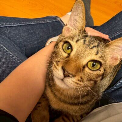 大野けんいち【お茶の水】