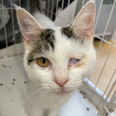 山ちゃん【岐阜店】