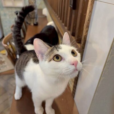 れいめん【岐阜店】