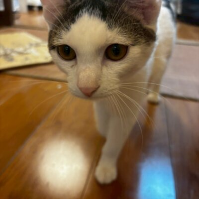 そうめん【岐阜店】