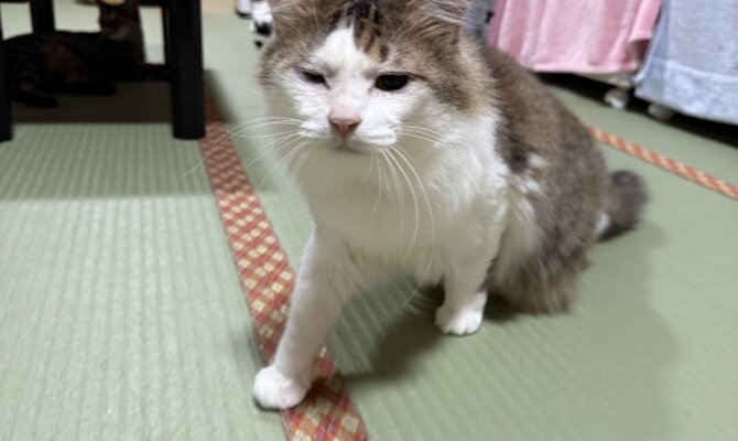 【お茶の水】〜新之介〜