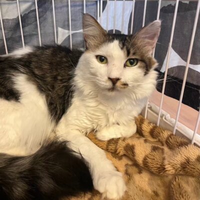 リジン【岐阜店】