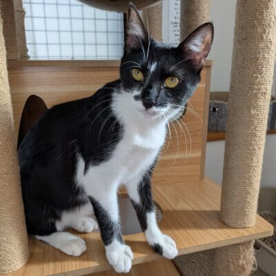                                 きょうれい【お茶の水】