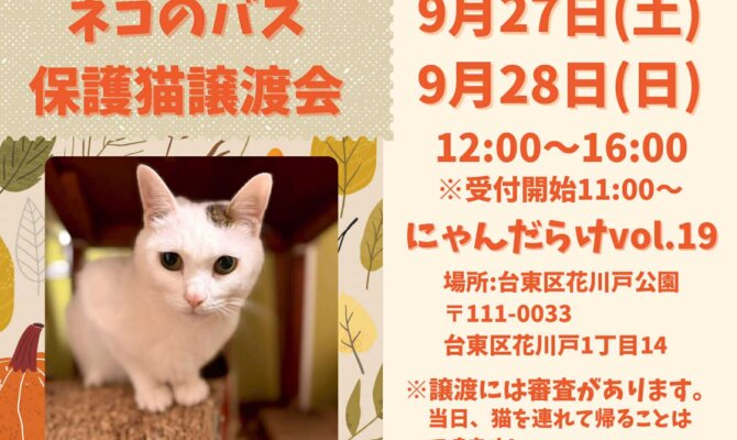 東京・浅草「にゃんだらけvol.19」にネコのバスがやってる☆