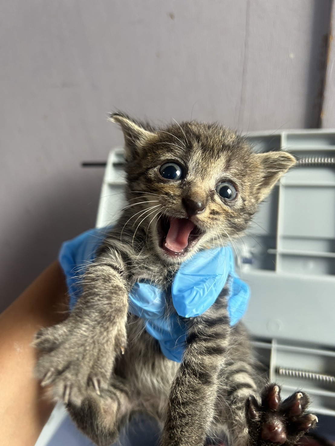 2025年最新】Yahoo!オークション -ドラえもん チョロqの中古品・新品