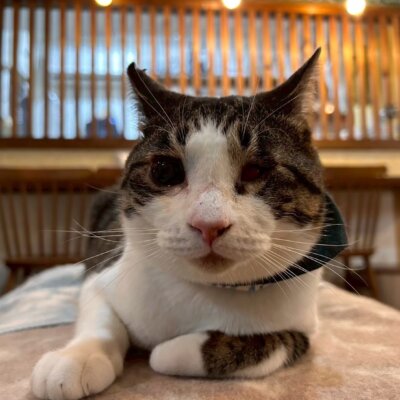 おきなわ【岐阜店】