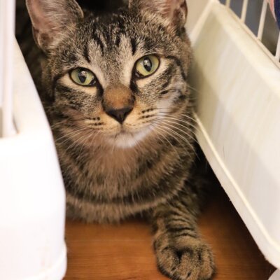 夕月（ゆづ）【岐阜店】