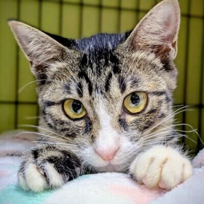 摎（きょう）【高円寺】