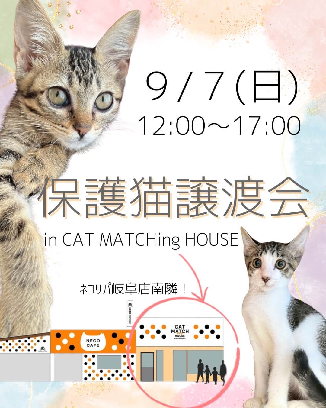 まだまだ暑い季節に、未来へつながるご縁を！キャットマッチングハウス