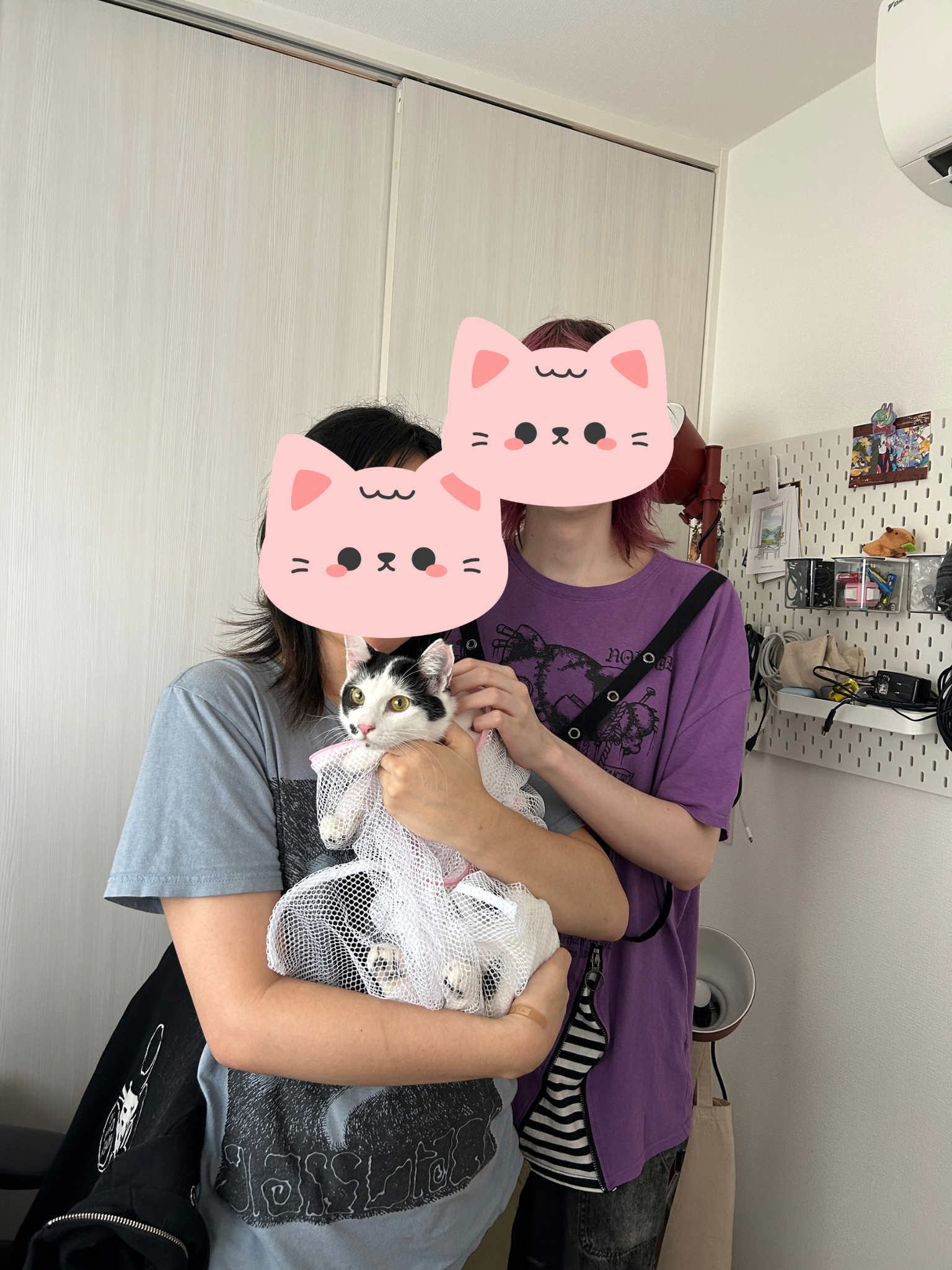 アガベ レオブライト 61番 幹上がり 根上り 観葉植物 ドライガーデン