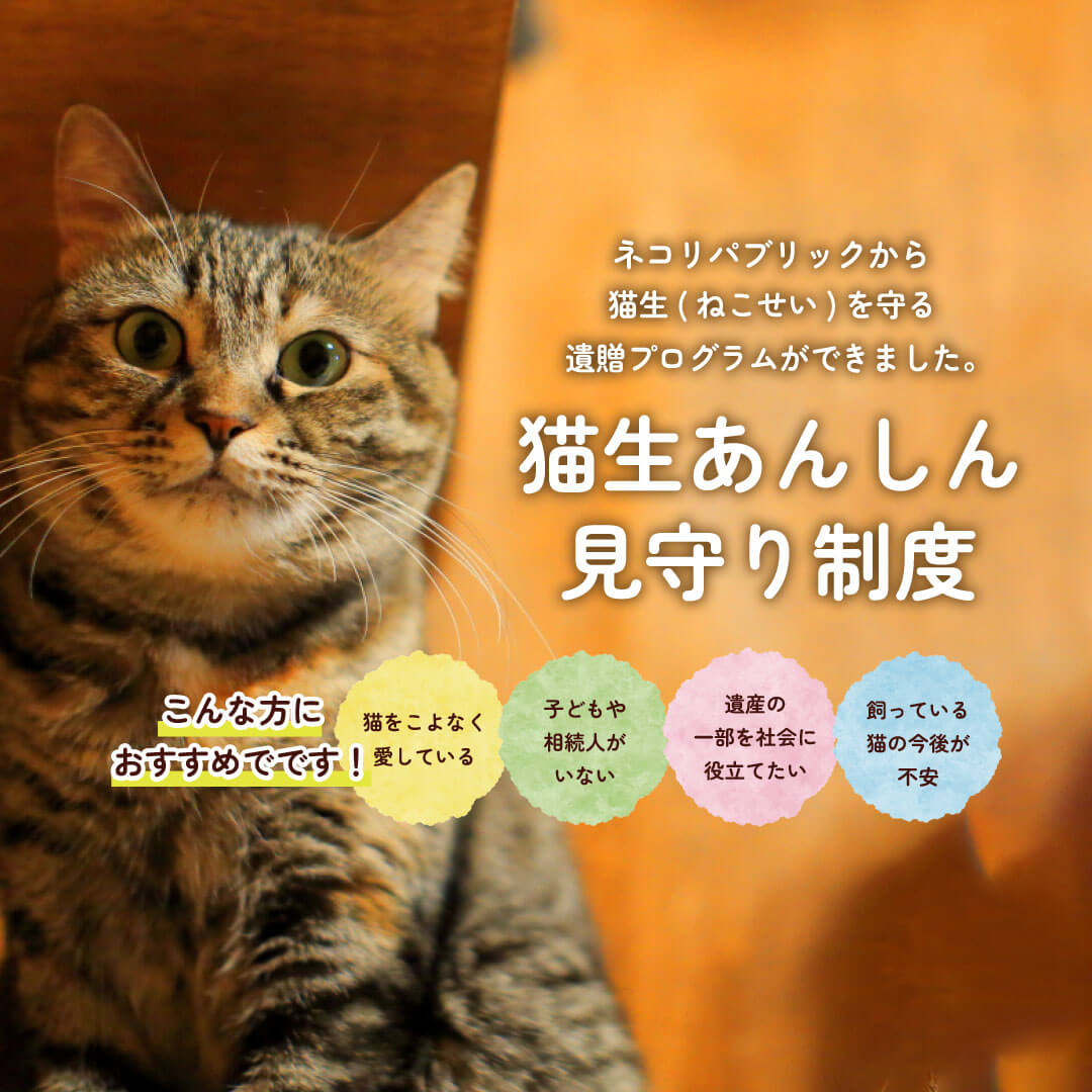 猫生あんしん 見守り制度 | ネコリパブリック｜日本の猫の殺処分をゼロに！