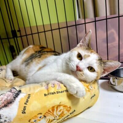 パルパル【高円寺】