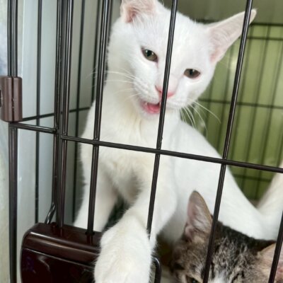 ツクヨミ【高円寺】