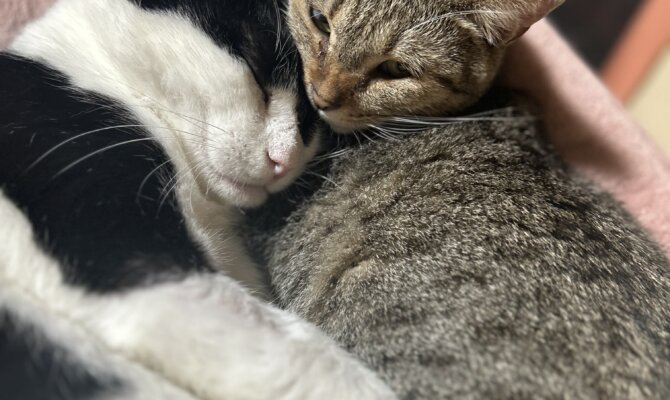 【お茶の水】〜くの〜