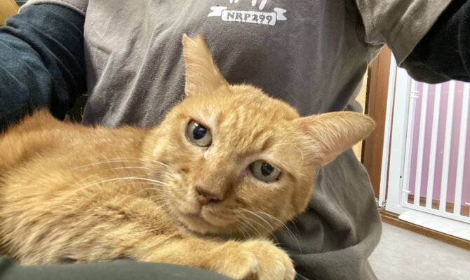 【お茶の水店〜きいろ〜】