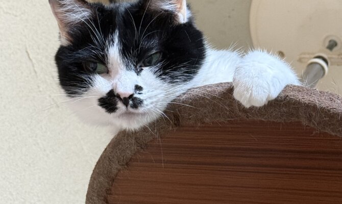 【お茶の水】〜ちゃんぽん〜