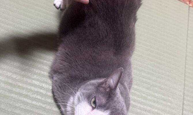 【お茶の水】〜プッシュ〜