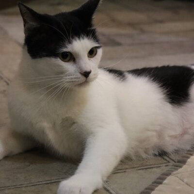 春菊【岐阜店】