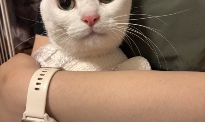 🐾【ジェームスくん、新しい一歩を踏み出します】🐾 