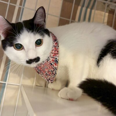 チャキチャキ・チャップリン【岐阜店】