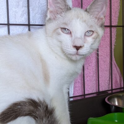                                 イザナギ【高円寺】→碧(あお)