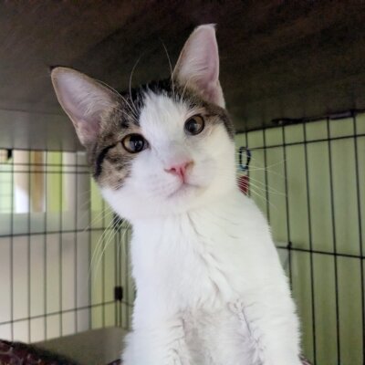 モココ【お茶の水】