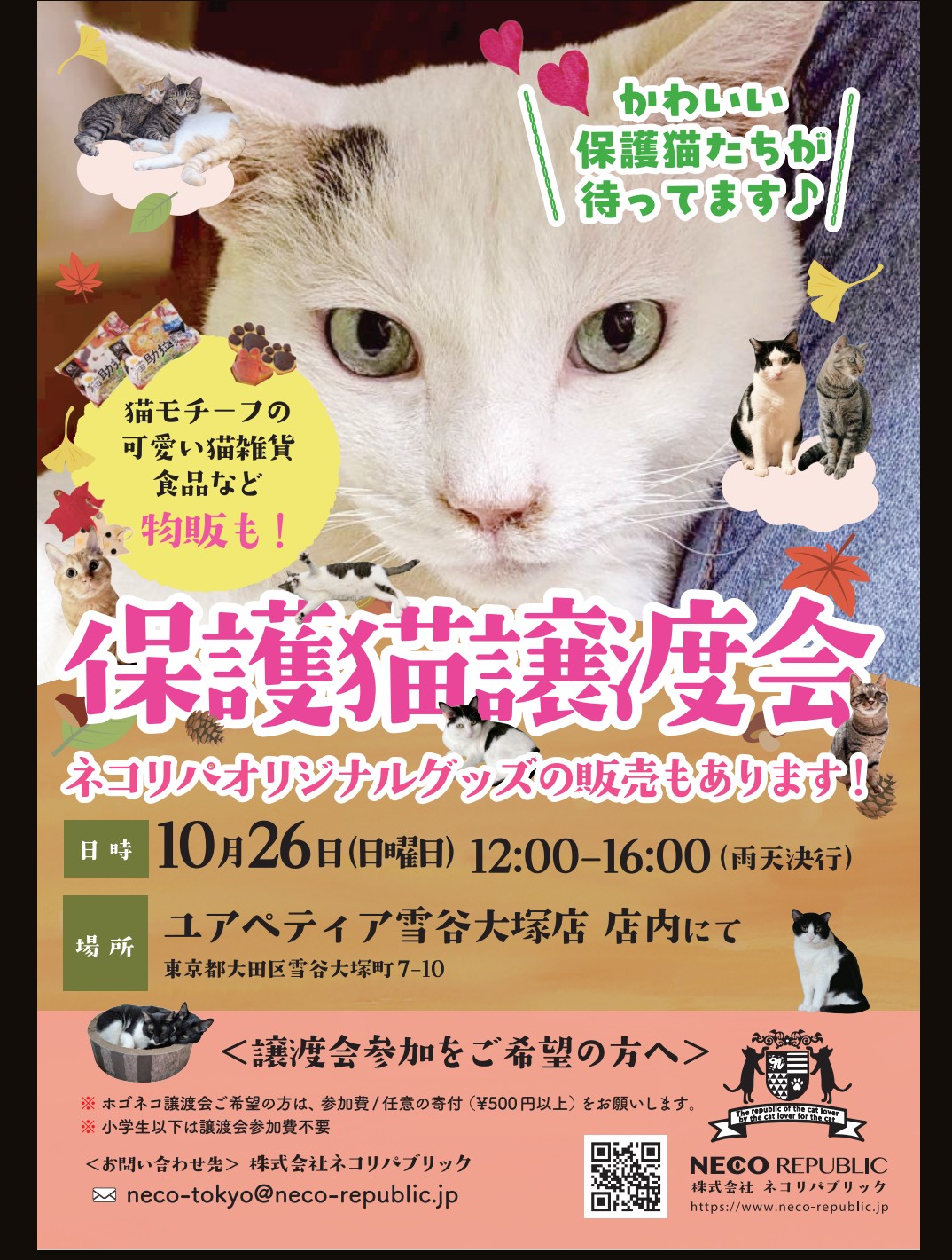 🐾保護猫譲渡会🐾 in 大田区雪が谷大塚 | ネコリパブリック｜日本の猫