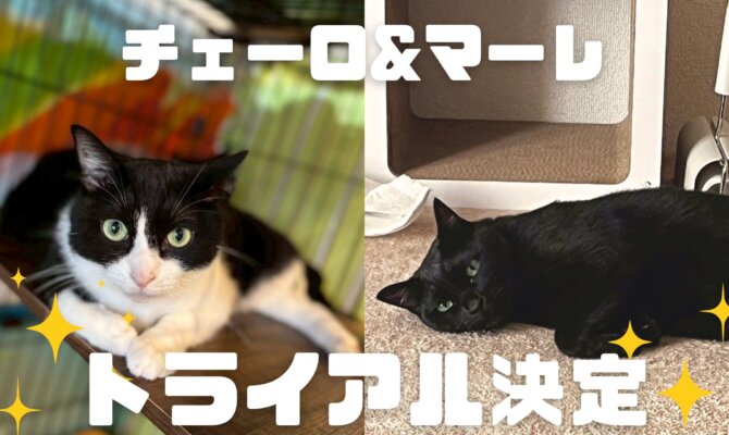 チェーロ&マーレ、トライアルへ🌊