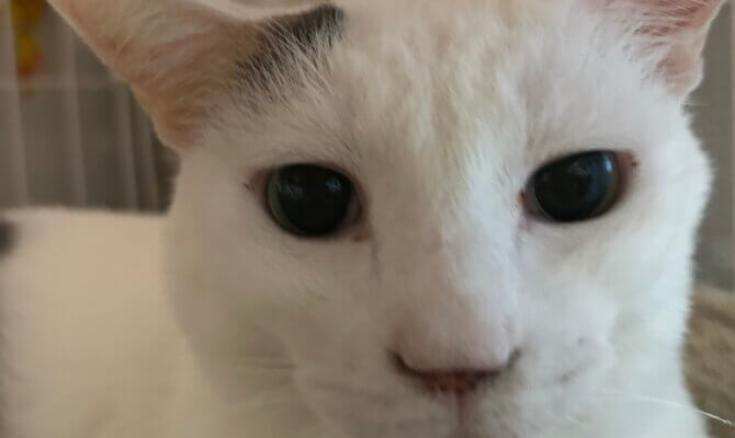 ばつ丸トライアル開始です‼️