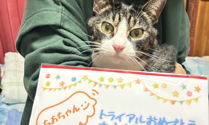 ちあちゃんトライアルへ出発‼️