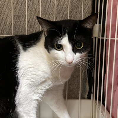 夜桜【岐阜店】