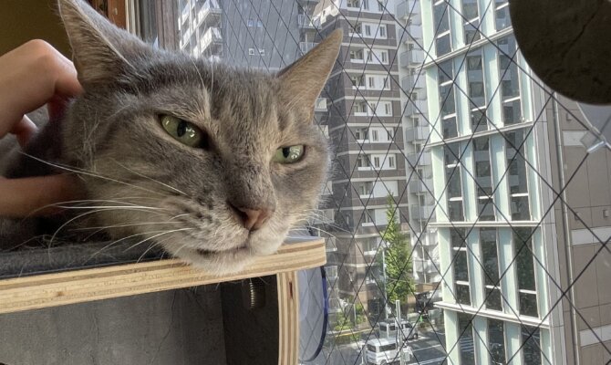 【お茶の水】〜ぴー太〜