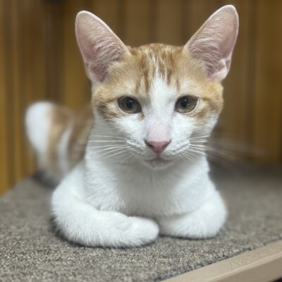 朔【大阪熊取店】