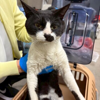 立冬【ちびびの森シェルター】