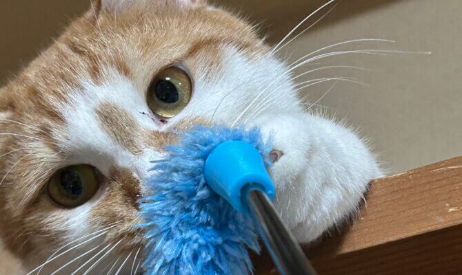 【お茶の水】〜えび天〜