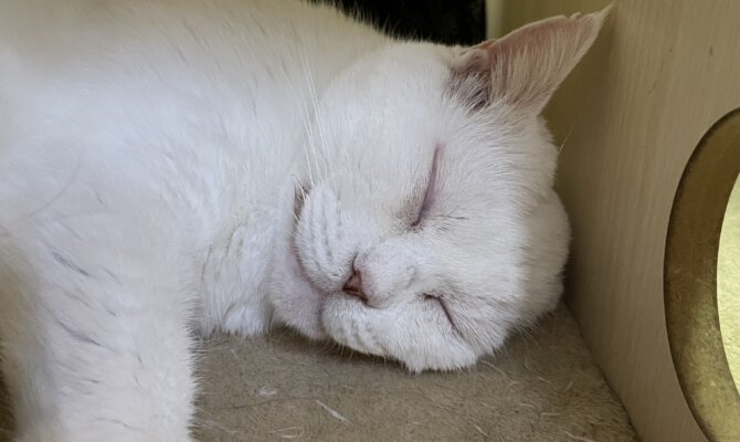 【お茶の水】〜お父さん〜