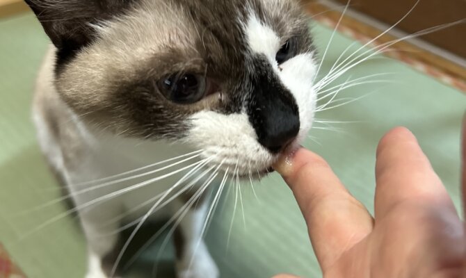 【お茶の水】〜ユリ雄〜