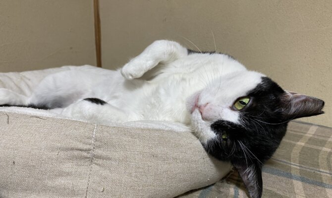 【お茶の水〜くの〜】