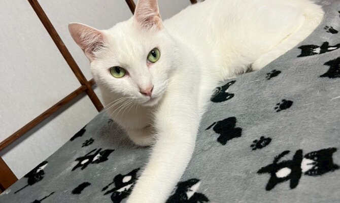 【お茶の水】〜出雲〜