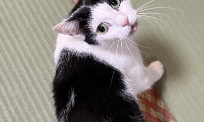 【お茶の水】〜くるる〜