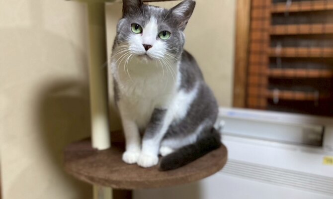 【お茶の水】〜プッシュ〜